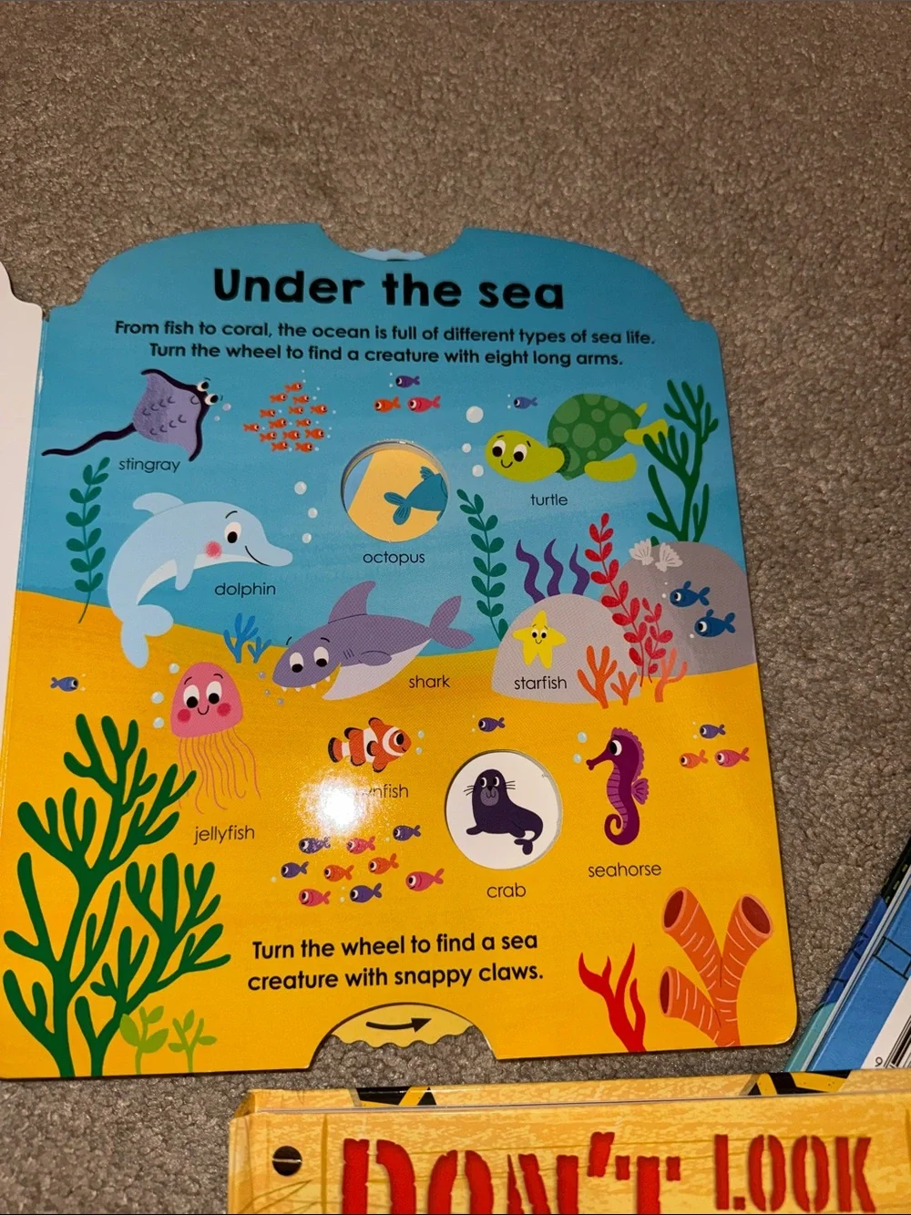 Lift the flap/interactive board books